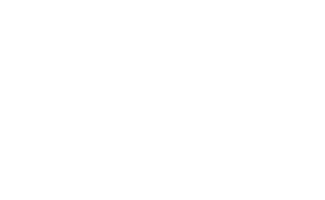 Netherlands Village Logo