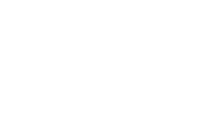 Security Manor Logo